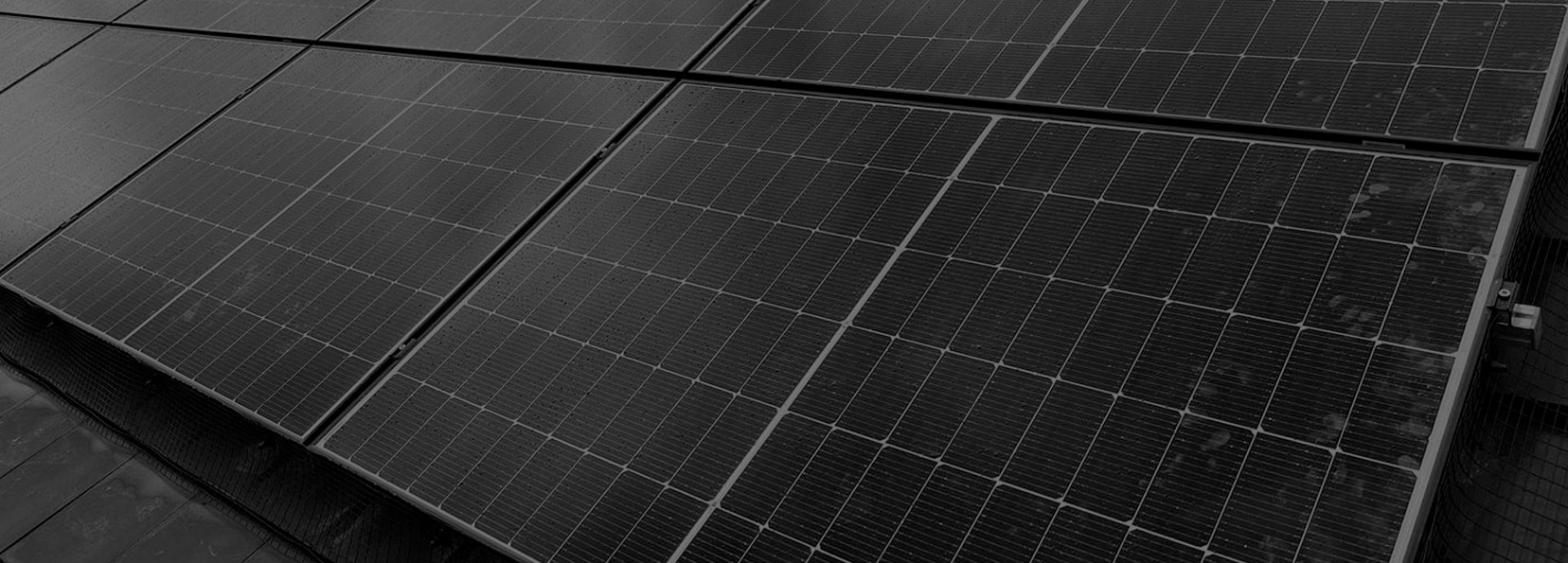  Solar Panels: The Popular Choice for Reducing Your Carbon Footprint